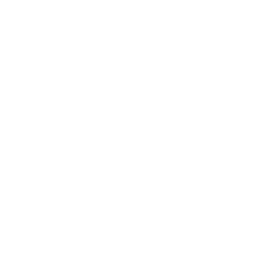 Dokument